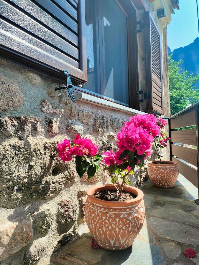 Villa The Stone House à Kalambaka Extérieur photo